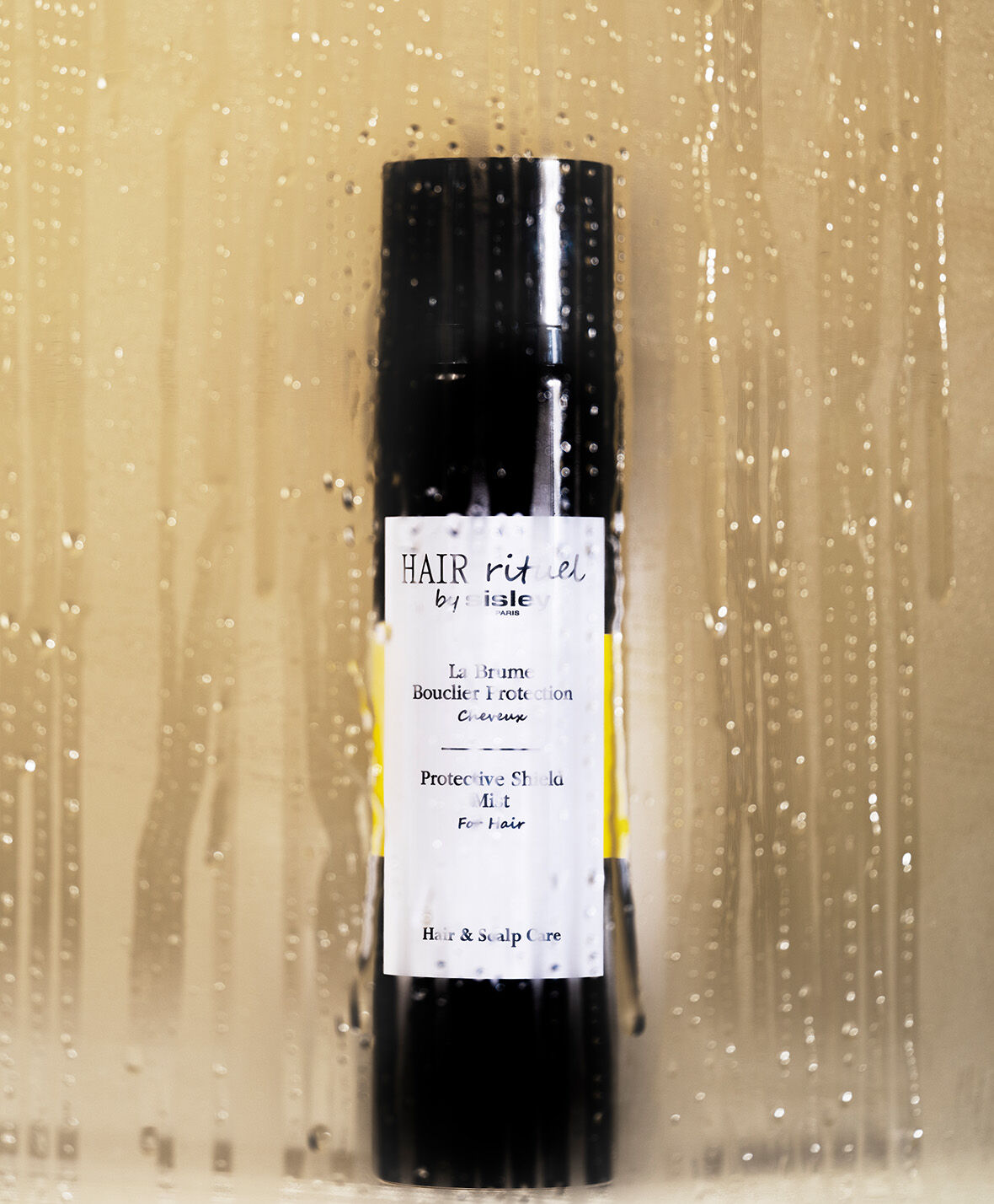 The Summer Hair Rituel guide by Sisley - Sisley Paris